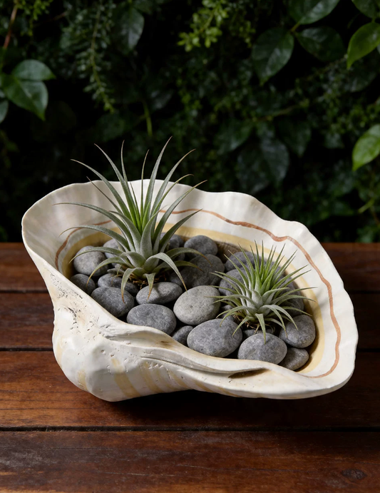 Tide Relic Vintage Shell Resin Centerpiece